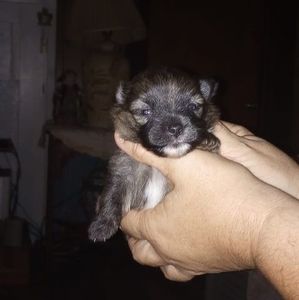 Meet your Posher, Patricia